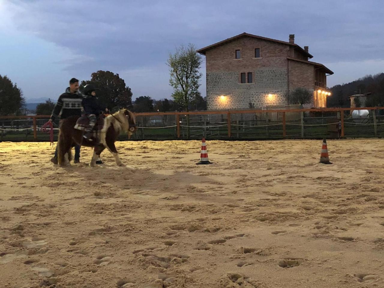 La Tenuta Del Campo Di Sopra Patrica Exterior foto